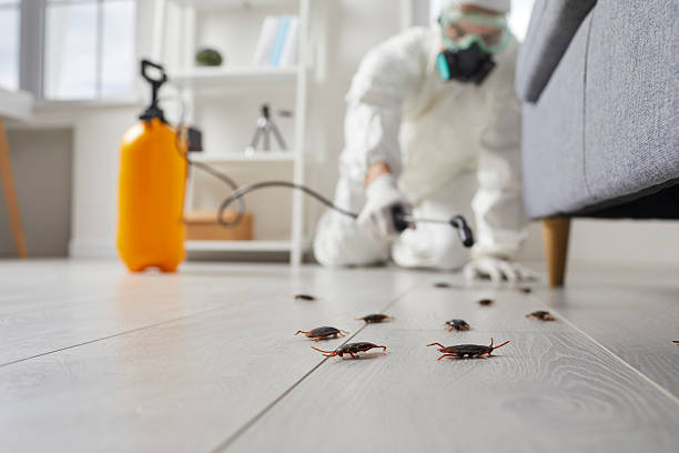 Trusted Cockroach Control service in Langley Park, MD - Nex Pest Control