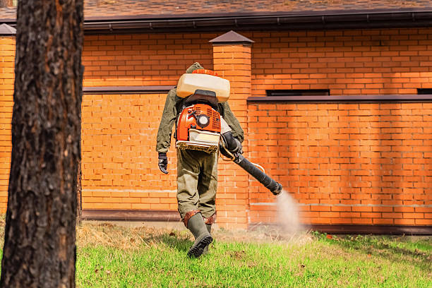 Trusted Bed Bug Control service in Langley Park, MD - Nex Pest Control